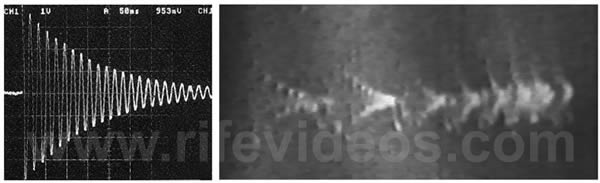 Dr. Rife's #4 instrument waveform